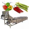 Máquinas de Lavar Frutas e Legumes Industriais