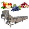 Máquinas de Lavar Frutas e Legumes Industriais