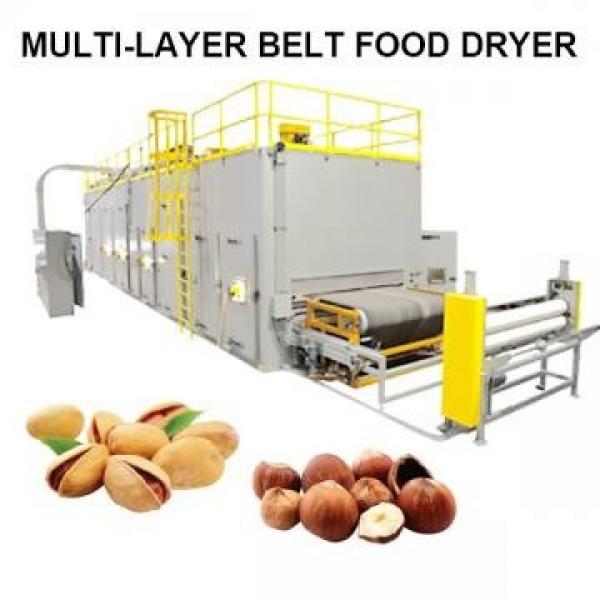 Secador de Frutas Industrial #2 image