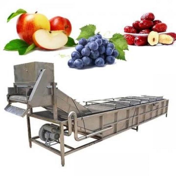 Máquinas de Lavar Frutas e Legumes Industriais #1 image